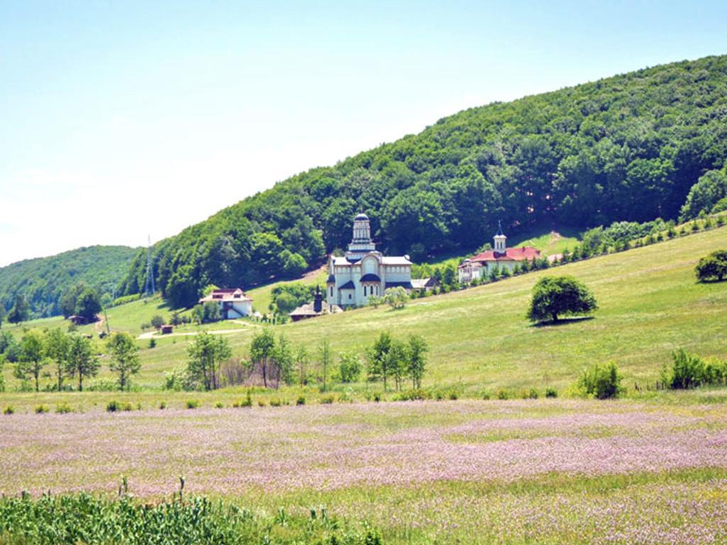 Casa Bradet Pensionat Întorsura Buzăului Exteriör bild