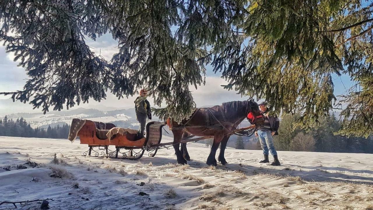 Casa Bradet Pensionat Întorsura Buzăului Exteriör bild